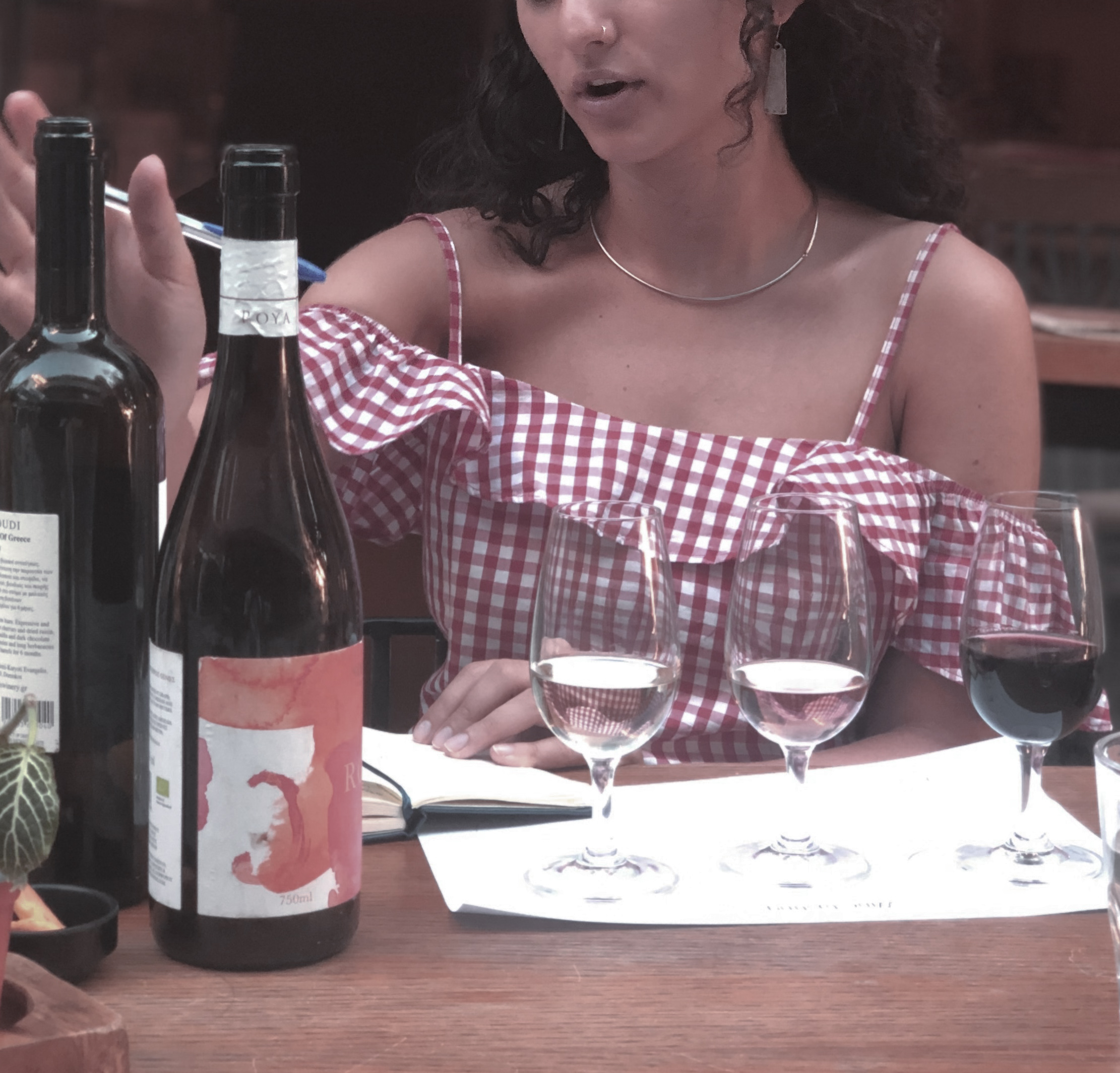 Wine tasting experience